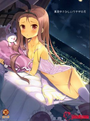 真夜中さびしいウサギの月