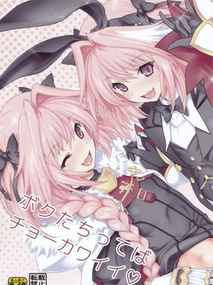 (C97)ボクたちってばチョーカワイイ♡ (Fate/Grand Order)
