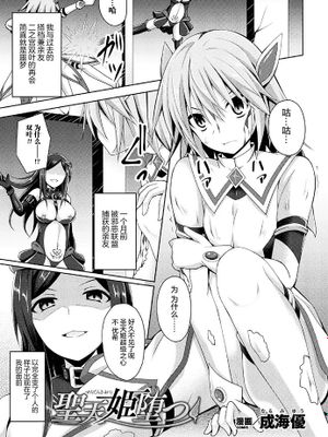 聖天姫堕つ