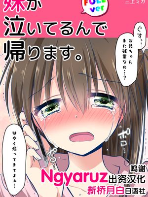 妹が泣いてるんで帰ります。 [中国翻訳] [DL版]