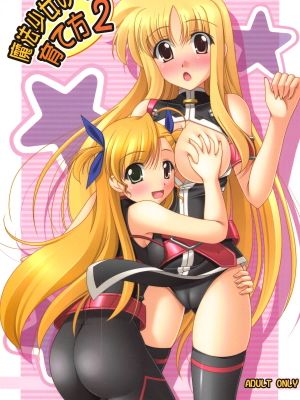 魔法少女の育て方2