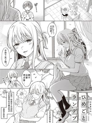 ひめごとのランデブー   エニシ (深窓の華娵)
