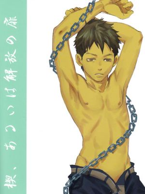 楔、あるいは解放の扉