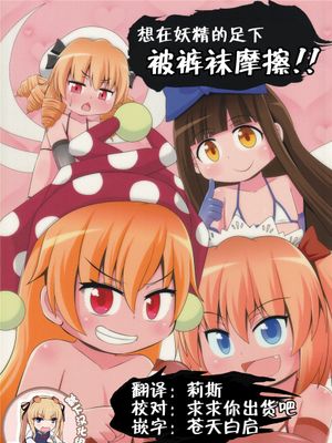 (例大祭15) 妖精さんの靴下&タイツでシゴかれたい!! (東方Project)