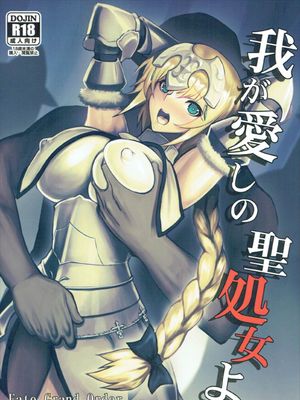 (C92) 我が愛しの聖処女よ (Fate/Grand Order) [中国翻訳]
