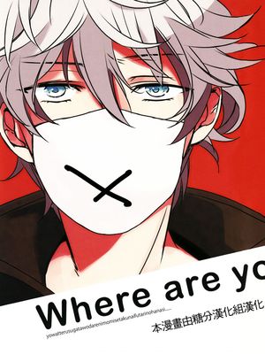 [高银]Where are you going?(銀魂)