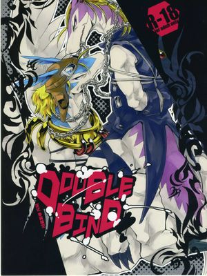 DOUBLE BIND（双生之绊）
