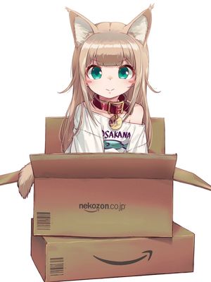 我家的猫猫是可爱的女孩子！