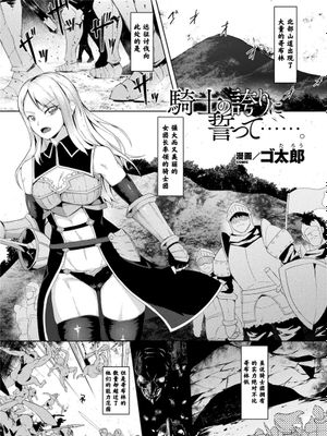 騎士の誇りに誓って [中国翻訳]