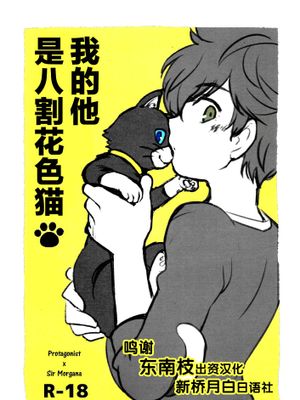 (アナザーコントロール6) 私の彼はハチワレソックス (ペルソナ5) [中国翻訳]