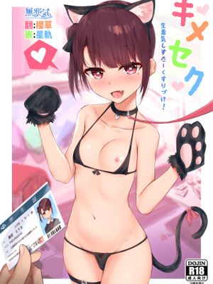キメセク～生意気しすたーくすりづけ!～ [中国翻訳] [DL版]