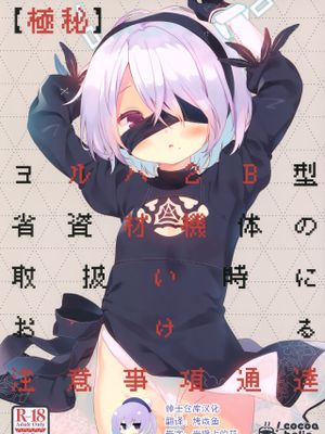 (COMIC1☆15)【極秘】ヨルハ2B型省資材機体の取扱い時における注意事項通達 (ニーアオートマタ) [中国翻訳]