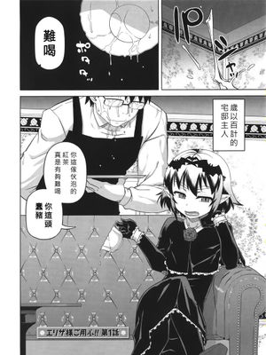 エリザ様ご用心  4Pリーフレット