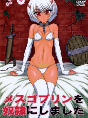 メスゴブリンを奴隷にしました [中国翻訳]