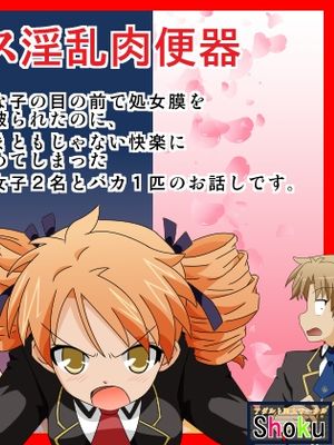 バカテス淫乱肉便器(バカとテストと召喚獣)
