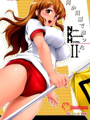 NKH II 何か河原で拾った2