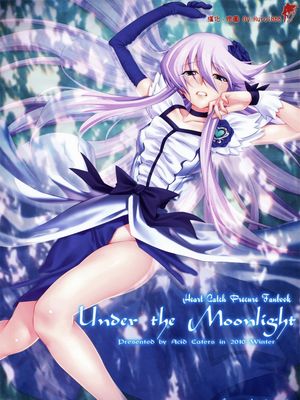 Under the Moonlight