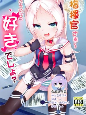 (C96) 指揮官さぁ～こういうの好きでしょ? (アズールレーン) [中国翻訳]