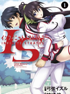 IS〈Infinite Stratos〉/无限斯特拉托斯/名作之壁