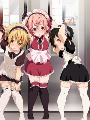 復讐痴漢車両～男の娘による痴漢冤罪被害者の会～