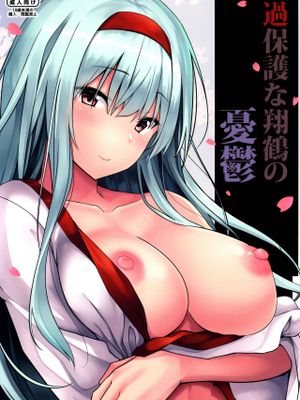 (C97) 過保護な翔鶴の憂鬱 (艦隊これくしょん-艦これ-)