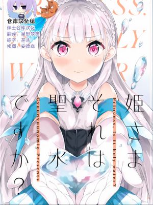 (C96)姫様それは聖水ですか? [中国翻訳]