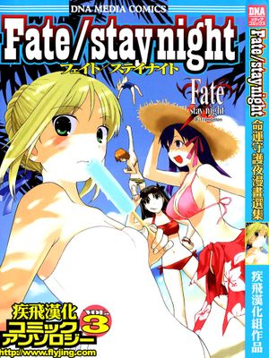FateStay Night Comic Anthology Vol.3
