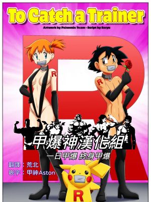 To Catch a Trainer (Pokémon)