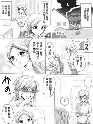 ブレワイのリンゼルがひたすらいちゃいちゃしてすけべなことする漫画 (ゼルダの伝説 ブレス オブ ザ ワイルド) [中国翻訳]