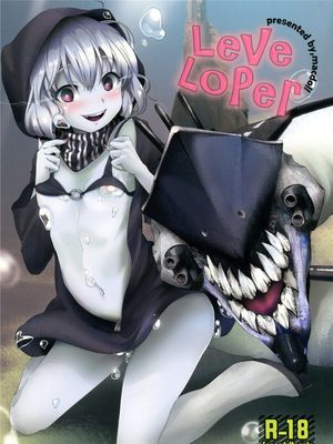 LeVeLoPer