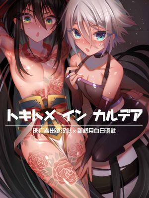 トキトメ イン カルデア (Fate Grand Order)