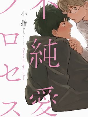 不純愛プロセス丨不纯爱Process