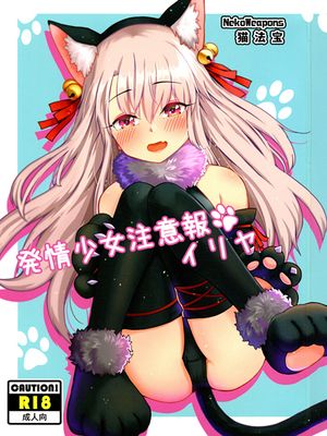 (C96) 発情少女注意報 イリヤ (Fate/Grand Order)