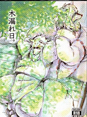 木漏れ日。