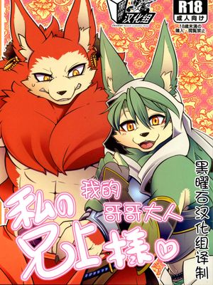 私の兄上様❤（我的哥哥大人❤）