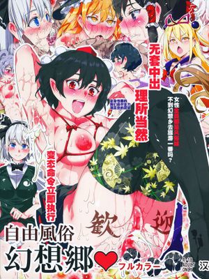 (紅楼夢11) 自由風俗幻想郷 フルカラー (東方Project)[Chinese]