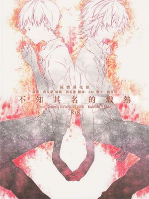 不知其名的炽热