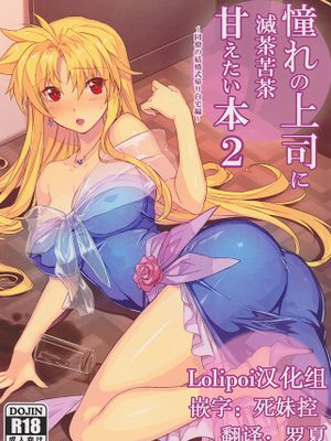 憧れの上司に滅茶苦茶甘えたい本2~同僚の結婚式帰り自宅編~ (魔法少女リリカルなのは)